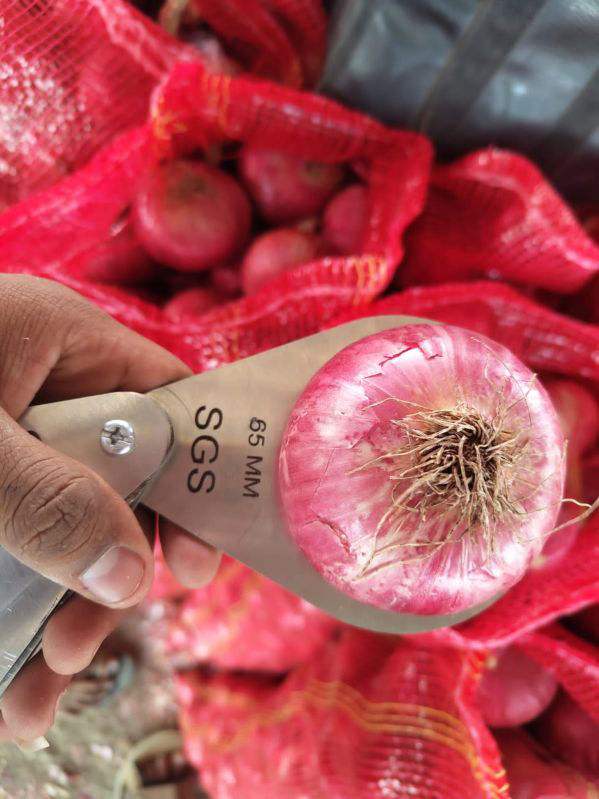 Onion Sizing