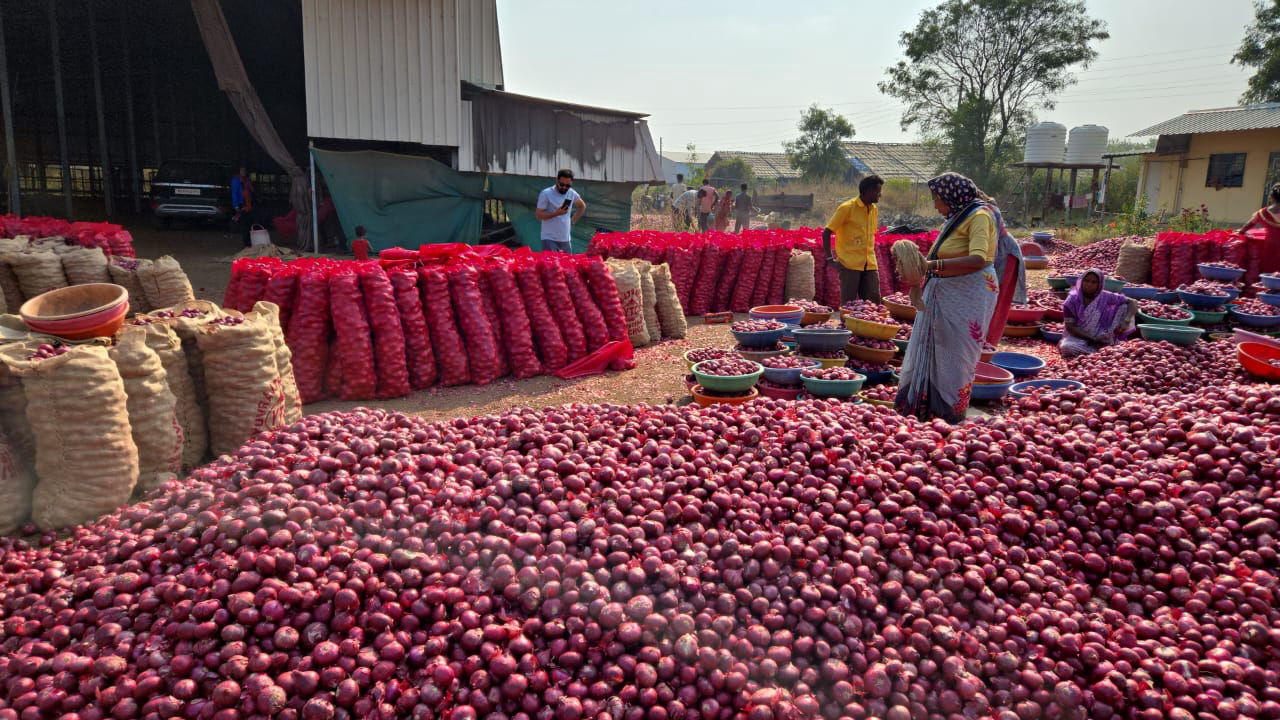 Onion Mandi